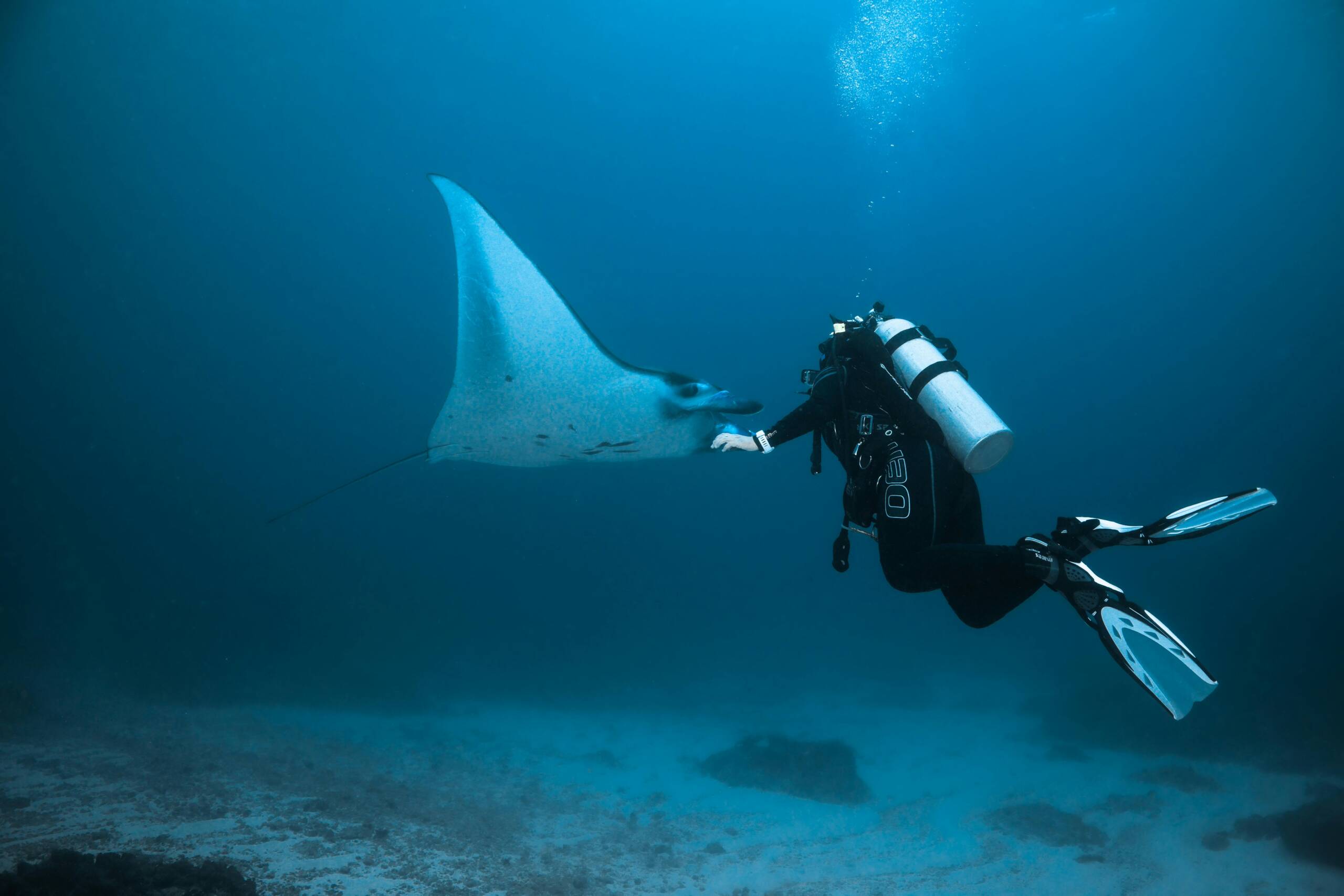 Diver underwater