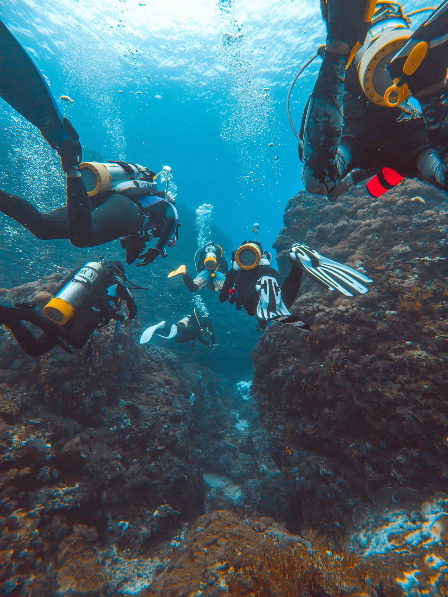 Group of divers underwater near a rock formation