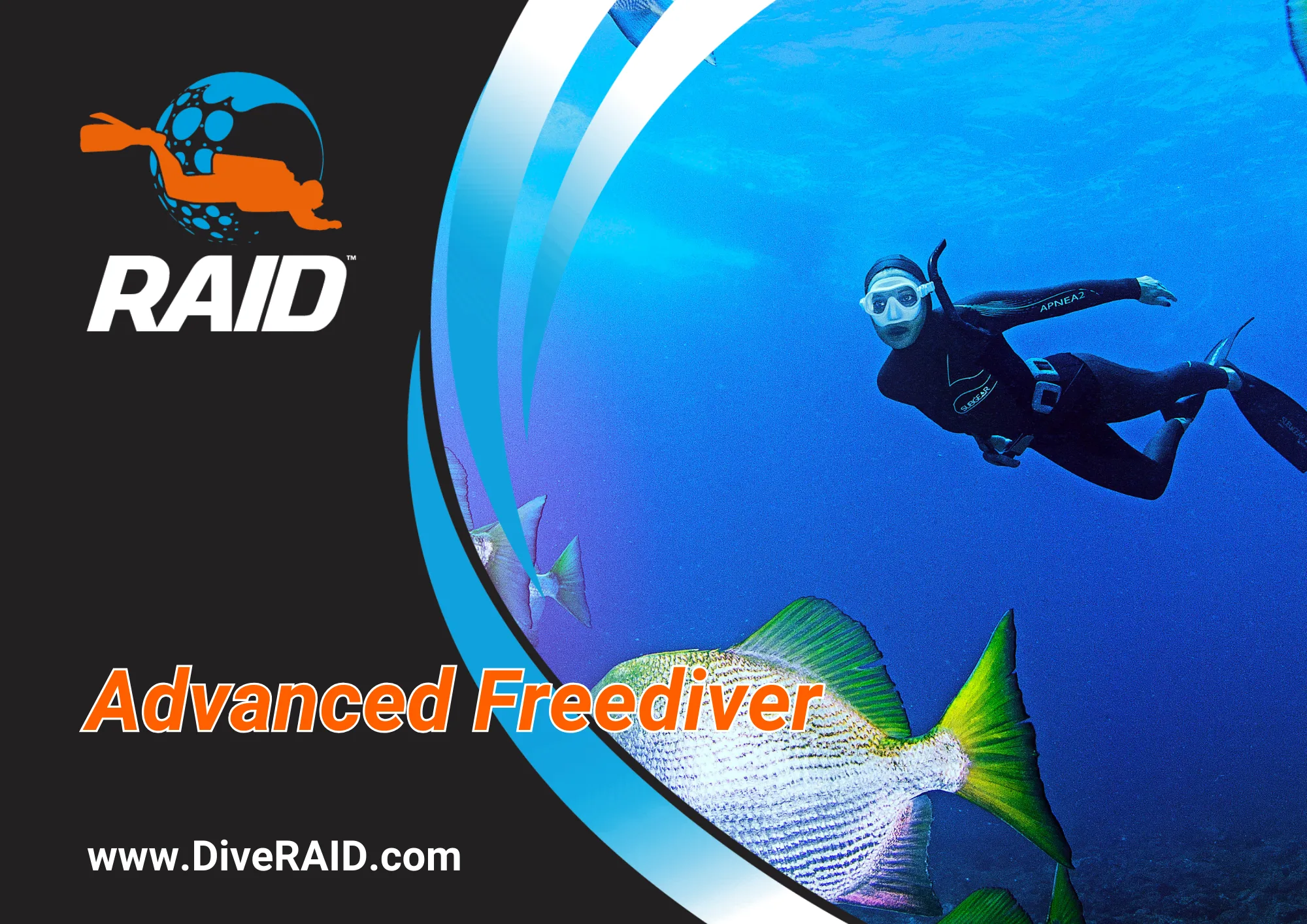 Advanced Freediver