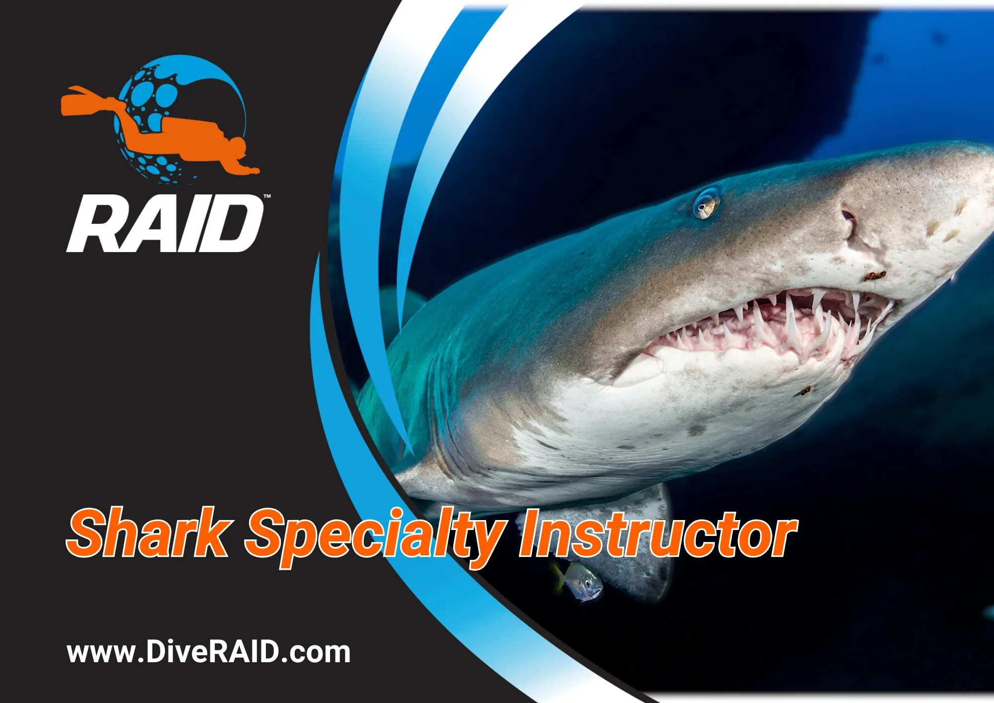 Shark Specialty Instructor
