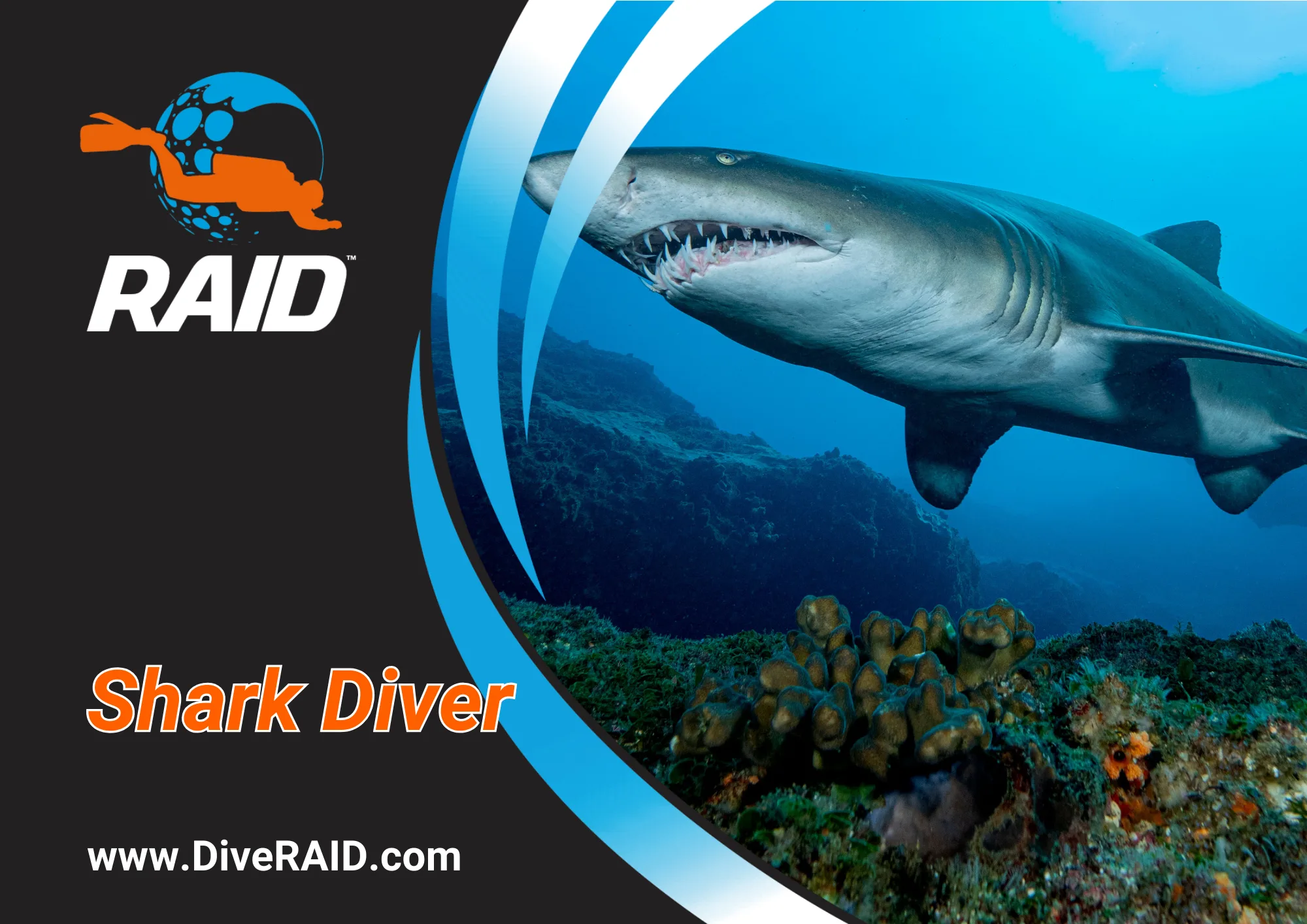Shark Diving Specialty