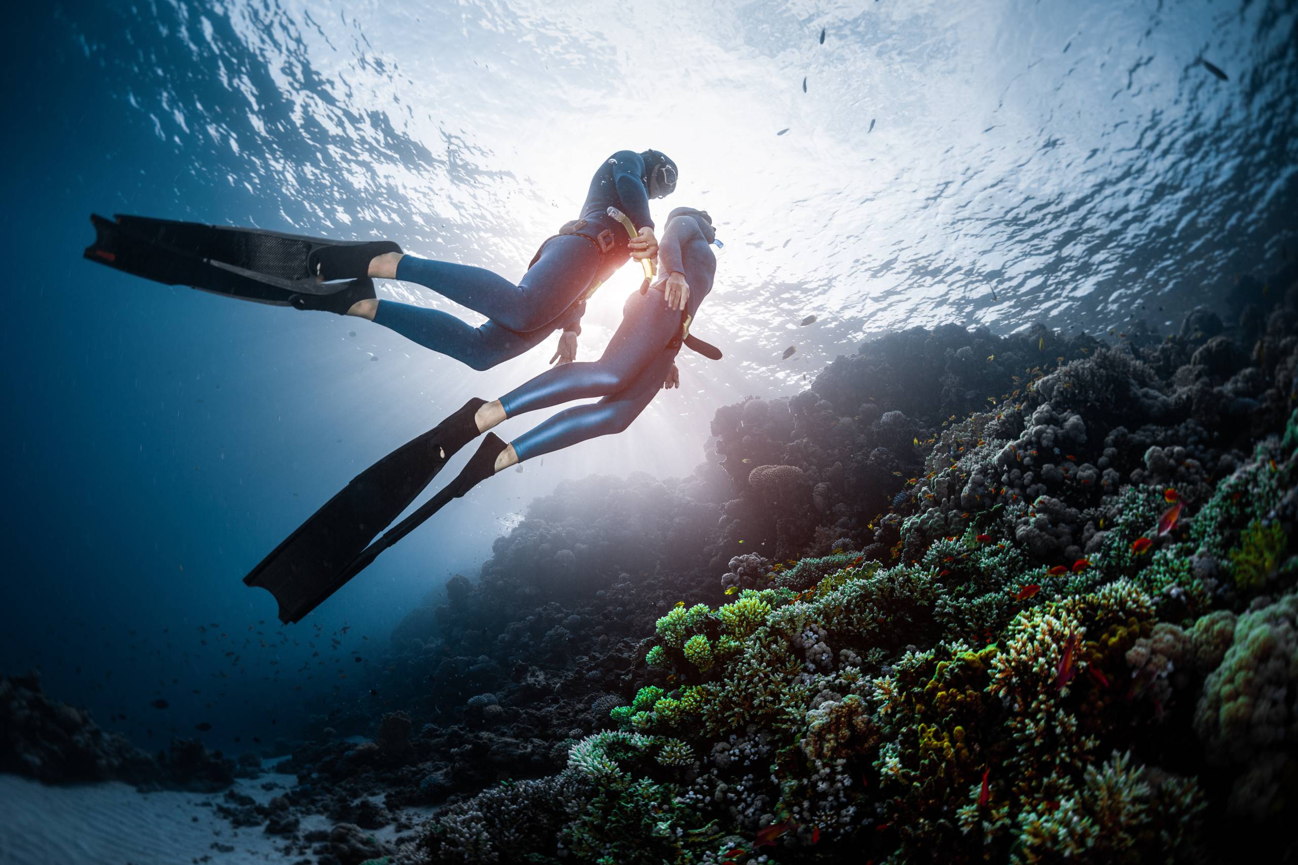 Two freedivers swim over the vivid coral reef in a tropical sea during their recreational freedive session