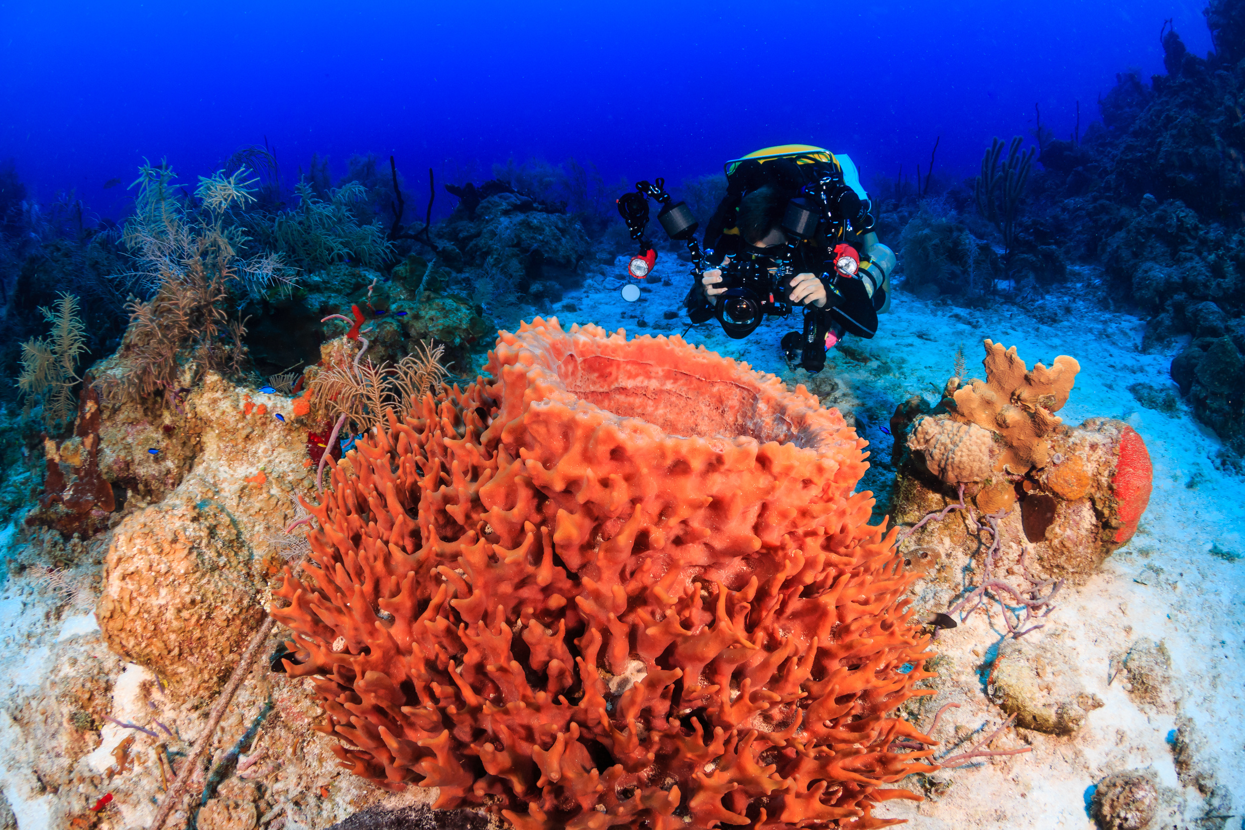A Closed Circuit Rebreather Diver with a Camera
