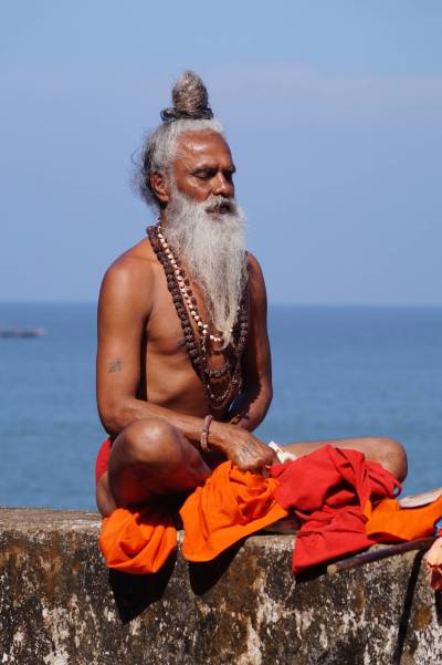 Yogi sitting