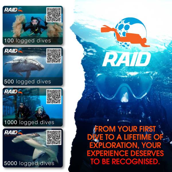 Recognition of logged dives